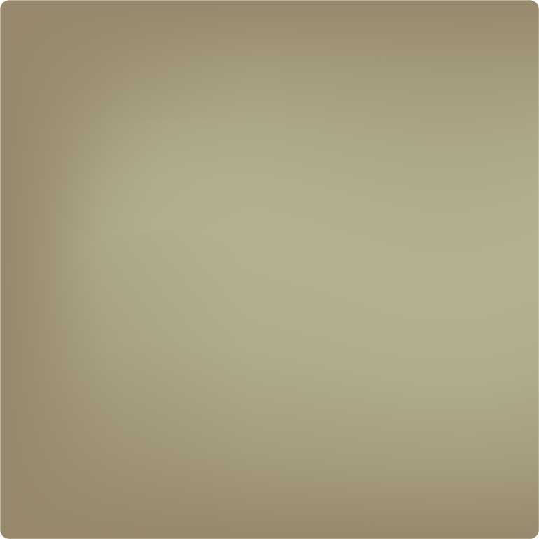Sushi Kaiyo Texture Variation